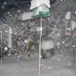 Snow Day! for the birds